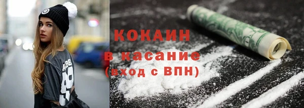мяу мяу мука Бородино