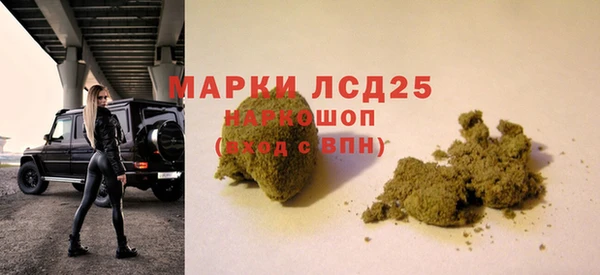 мяу мяу мука Бородино