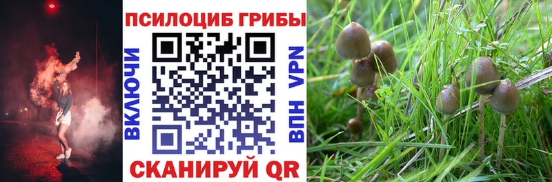 Галлюциногенные грибы мухоморы  Шебекино 
